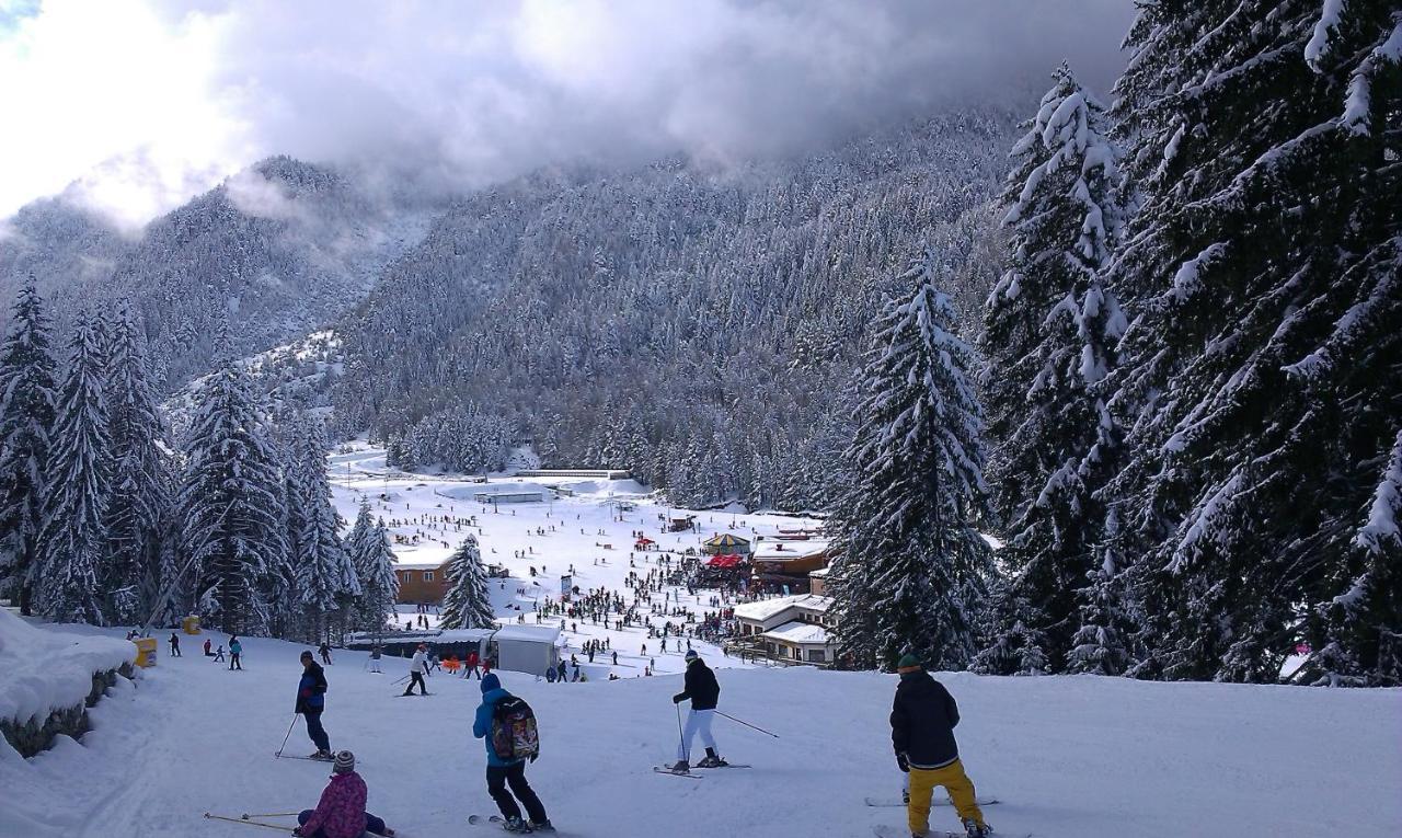 Aspen Studio Mountain Retreat At Aspen Resort Golf Ski & Spa رازلوغ المظهر الخارجي الصورة